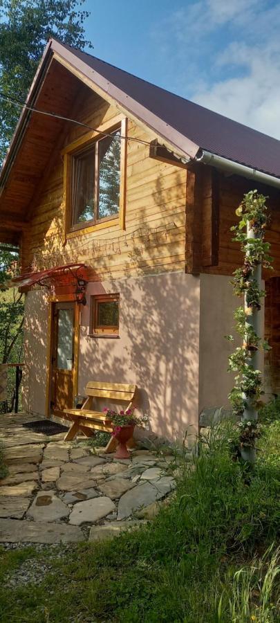 Марічка Marichka Villa Ворохта Екстериор снимка